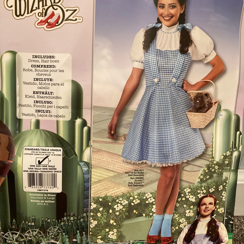 The Wizard of Oz Dorothy size small Halloween costume